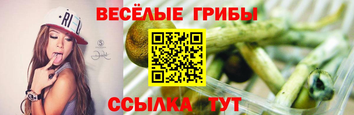Псилоцибиновые грибы GOLDEN TEACHER Шарыпово