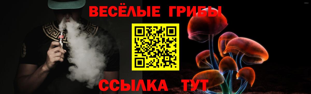 Шарыпово  Псилоцибиновые грибы прущие грибы  Вход с VPN 